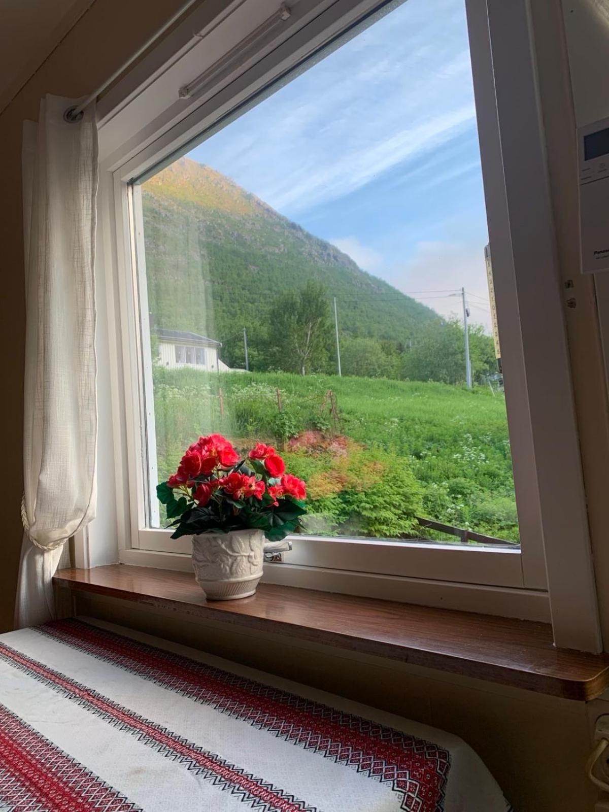 House Apartment Gryllefjord Exterior photo